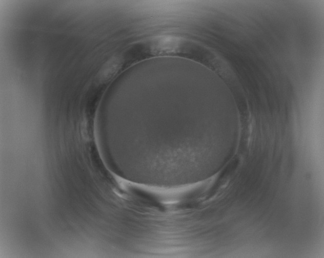 X0000055510224200508121025
