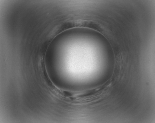 X0000055510225200508121025