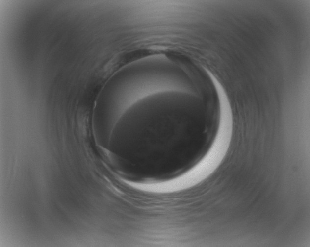 X0000055510227200508121025