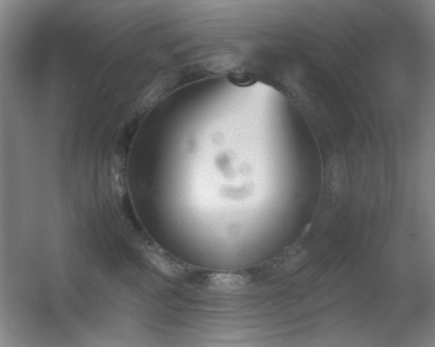 X0000055510234200508121025
