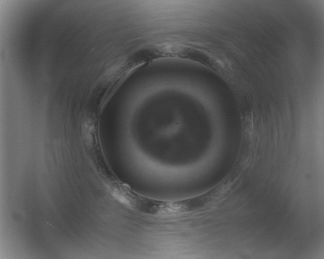 X0000055510235200508121025