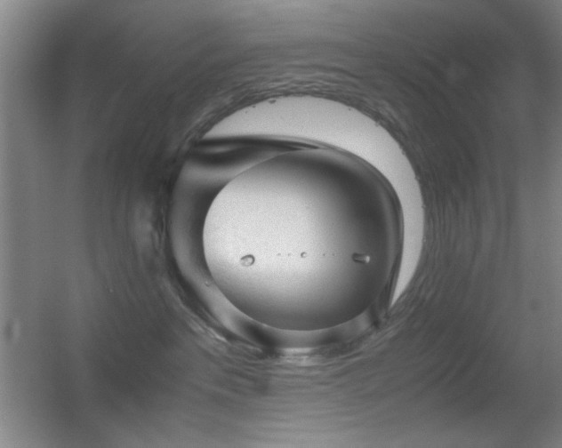 X0000055510237200508121025