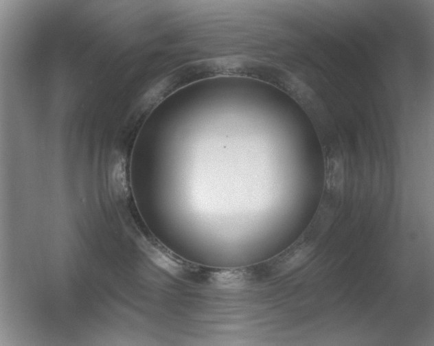 X0000055510238200508121025