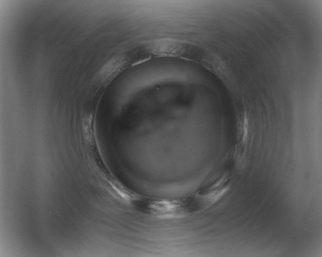 X0000055510239200508121025