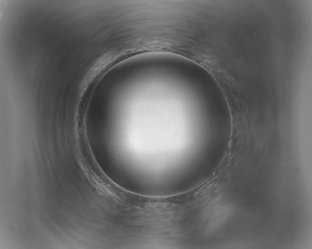 X0000055510242200508121024