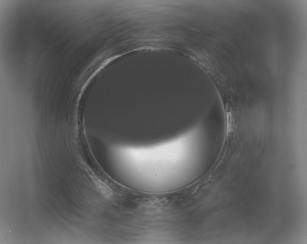 X0000055510243200508121024