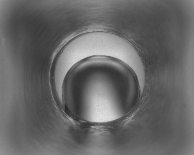X0000055510244200508121024