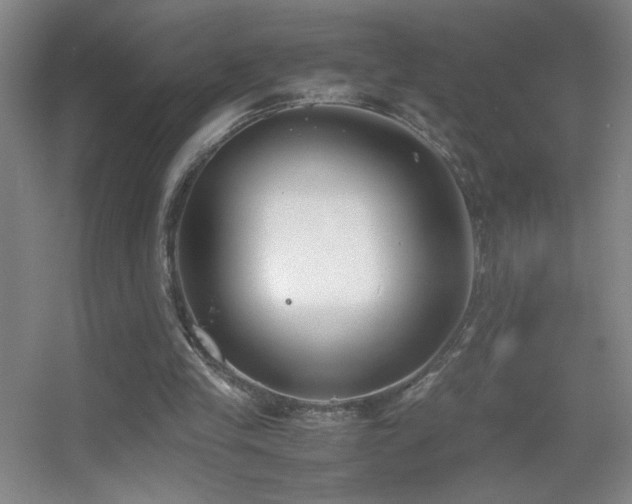 X0000055510245200508121024