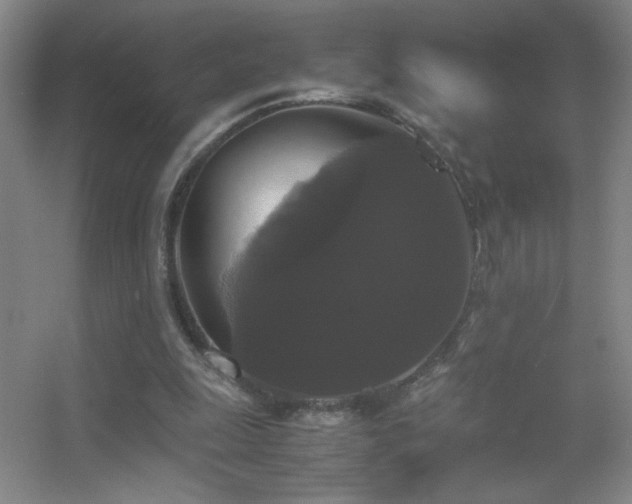 X0000055510247200508121024