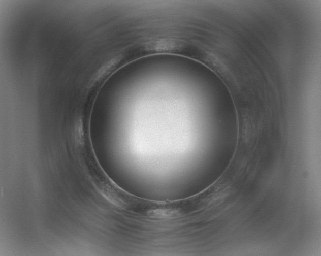 X0000055510251200508121024