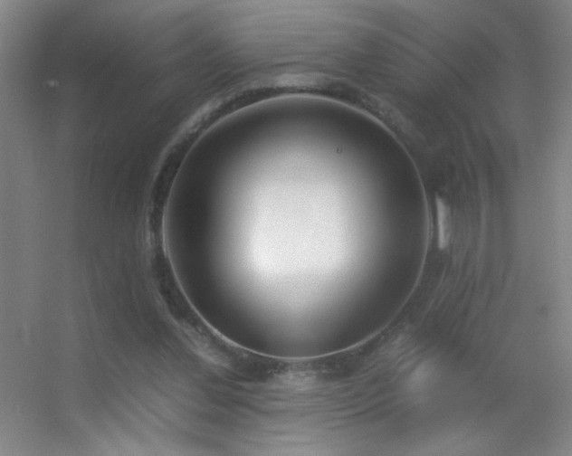 X0000055510252200508121024