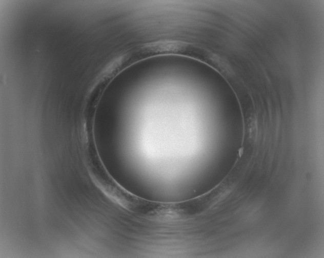 X0000055510254200508121024