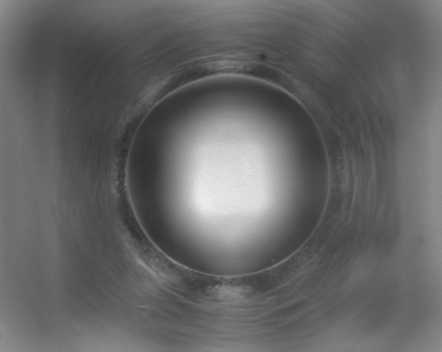 X0000055510255200508121024