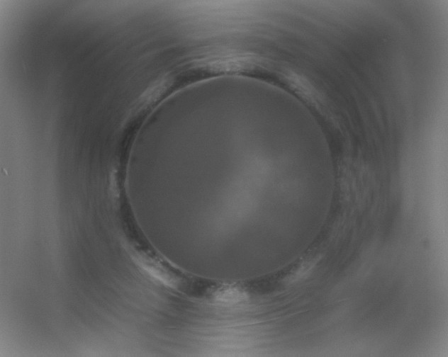 X0000055510258200508121025