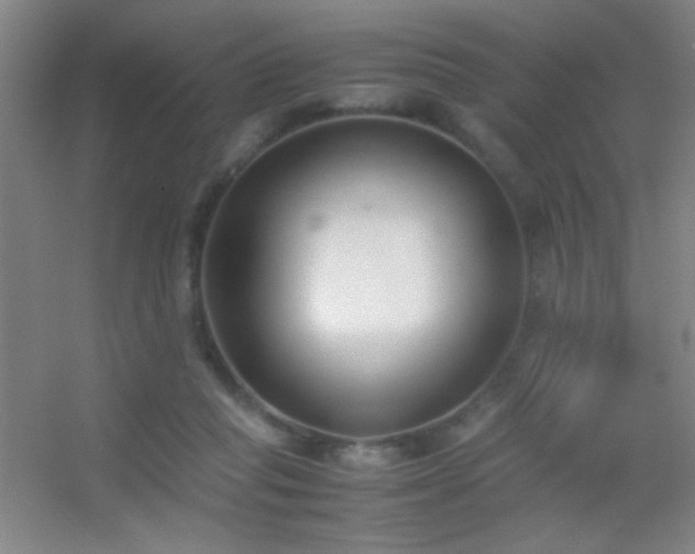 X0000055510261200508121025