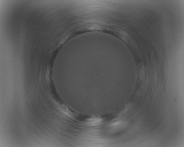 X0000055510266200508121025