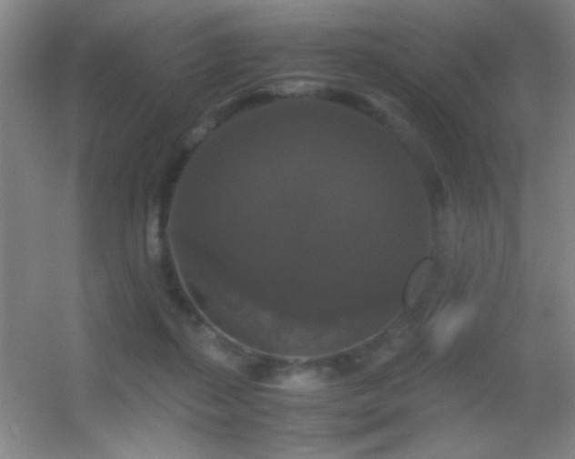 X0000055510267200508121025