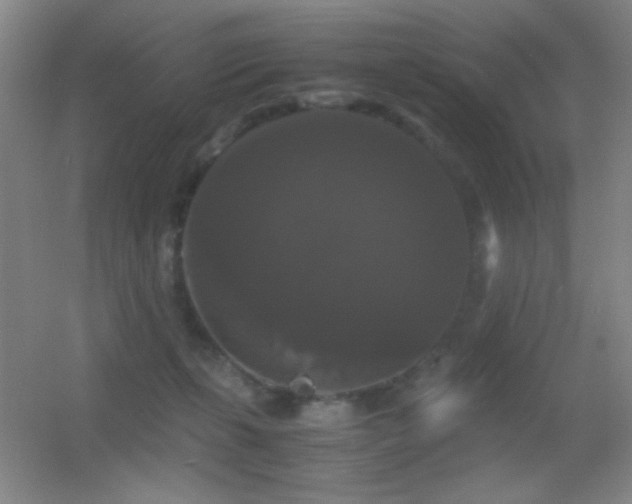 X0000055510271200508121025