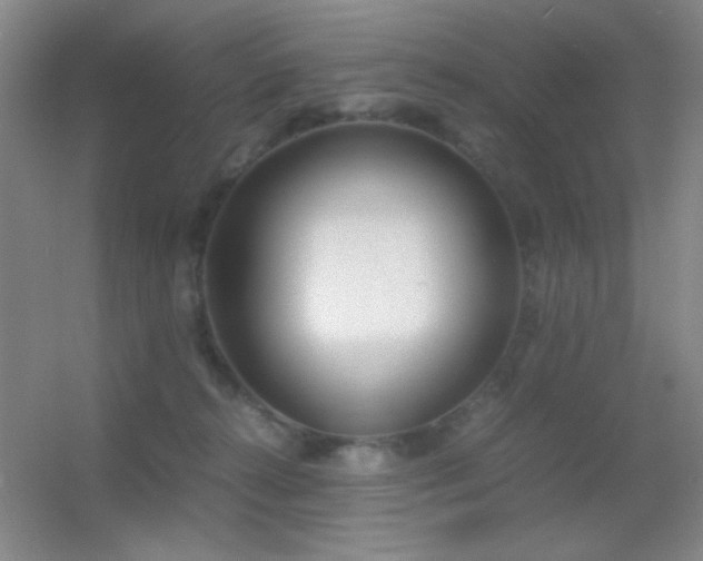 X0000055510272200508121025