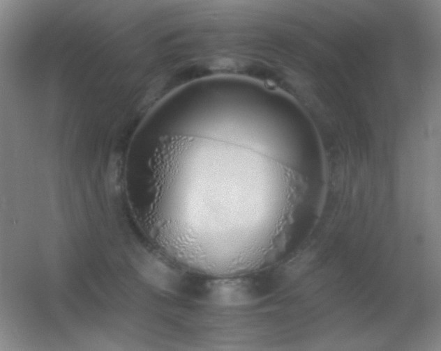 X0000055510273200508121025