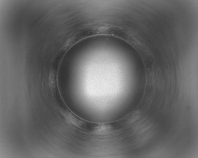 X0000055510274200508121025