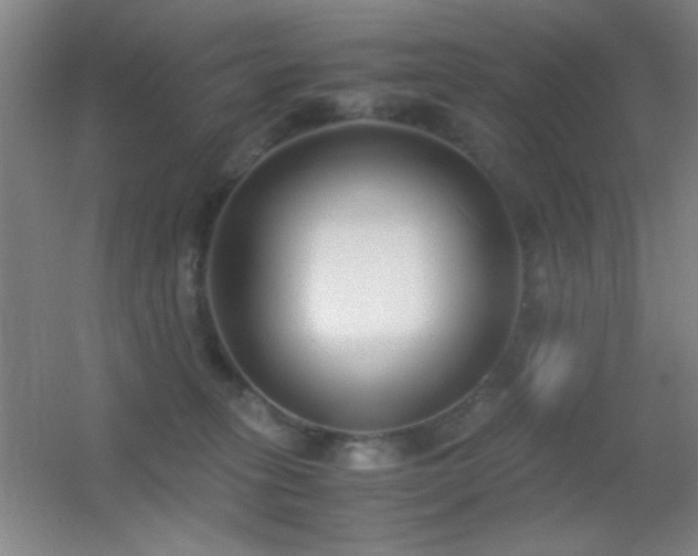 X0000055510275200508121025