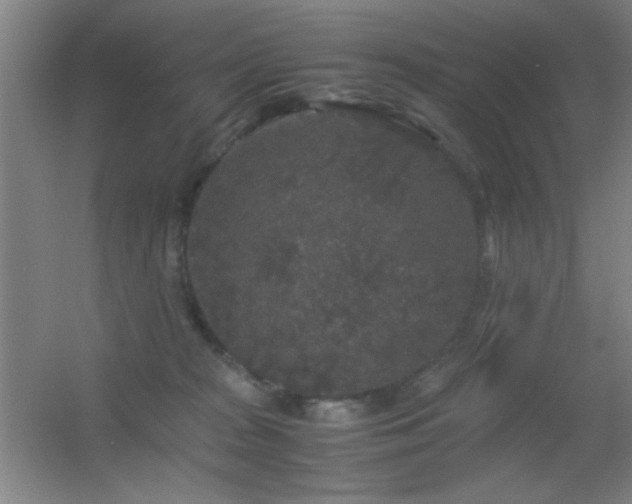 X0000055510277200508121025
