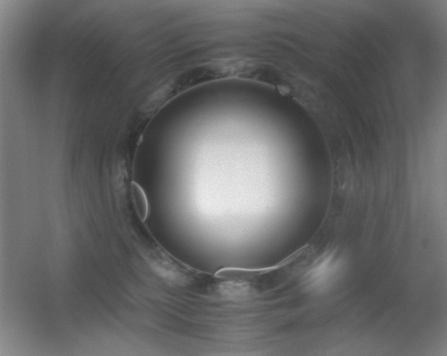 X0000055510279200508121025