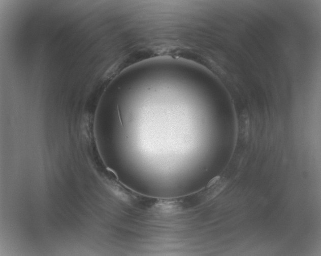 X0000055510280200508121025