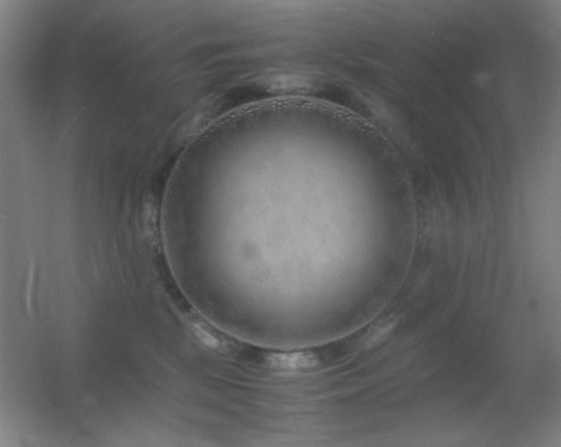 X0000055510281200508121025