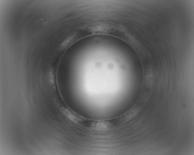 X0000055510282200508121025