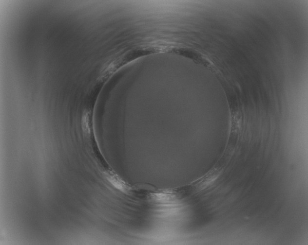 X0000055510286200508121025
