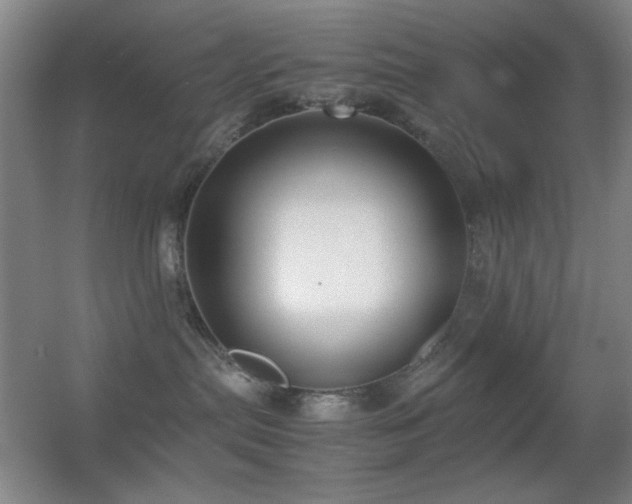 X0000055510287200508121025