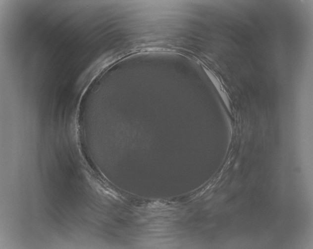 X0000055510290200508121024