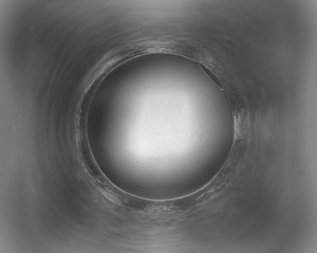X0000055510291200508121024