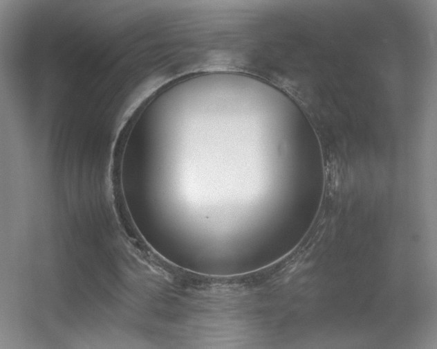 X0000055510292200508121024