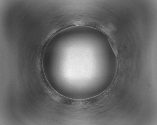 X0000055510297200508121024