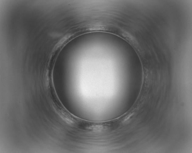 X0000055510298200508121024