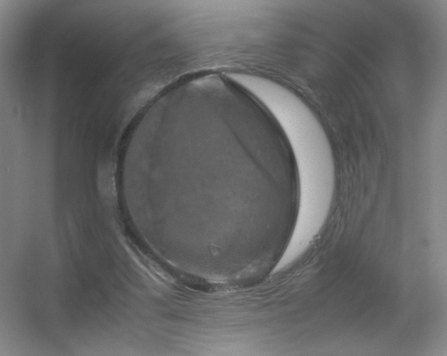 X0000055510299200508121024