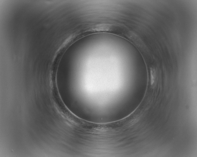 X0000055510300200508121024