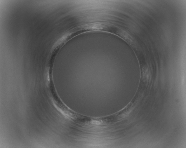 X0000055510302200508121024