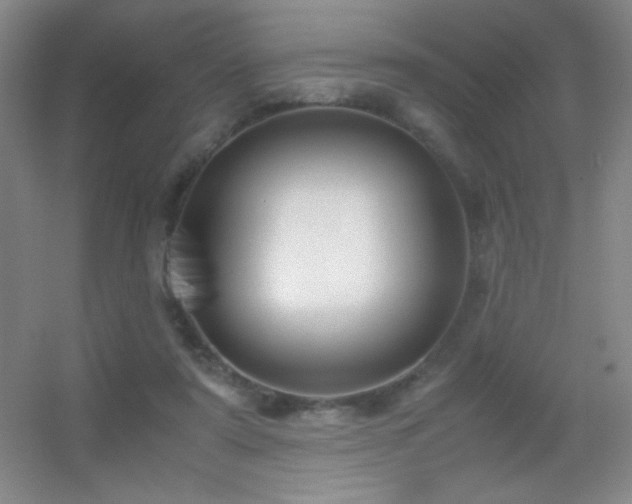 X0000055510307200508121024