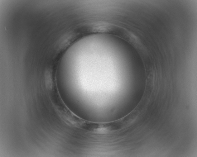X0000055510312200508121024