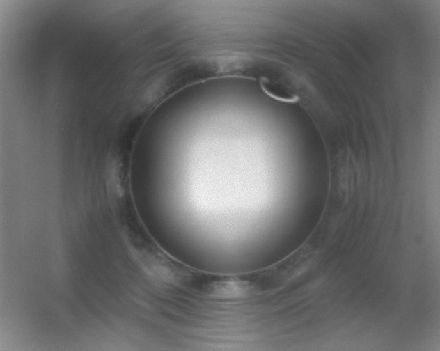 X0000055510316200508121024