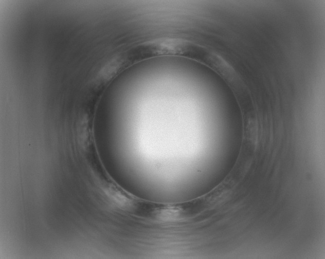X0000055510318200508121024