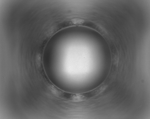 X0000055510321200508121024