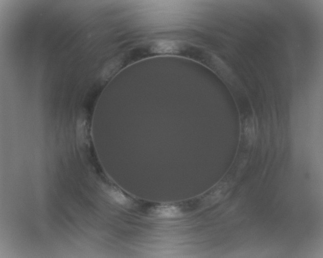 X0000055510322200508121024