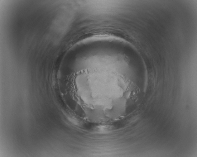 X0000055510323200508121024