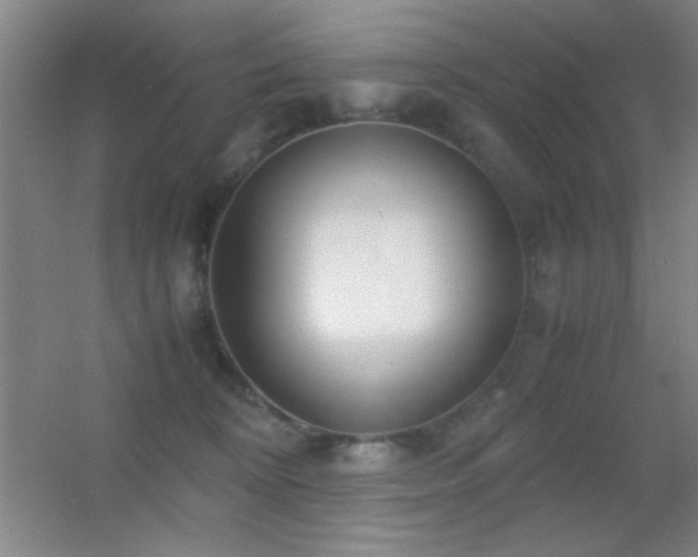 X0000055510324200508121024