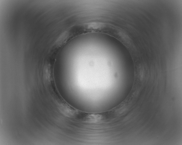 X0000055510328200508121024